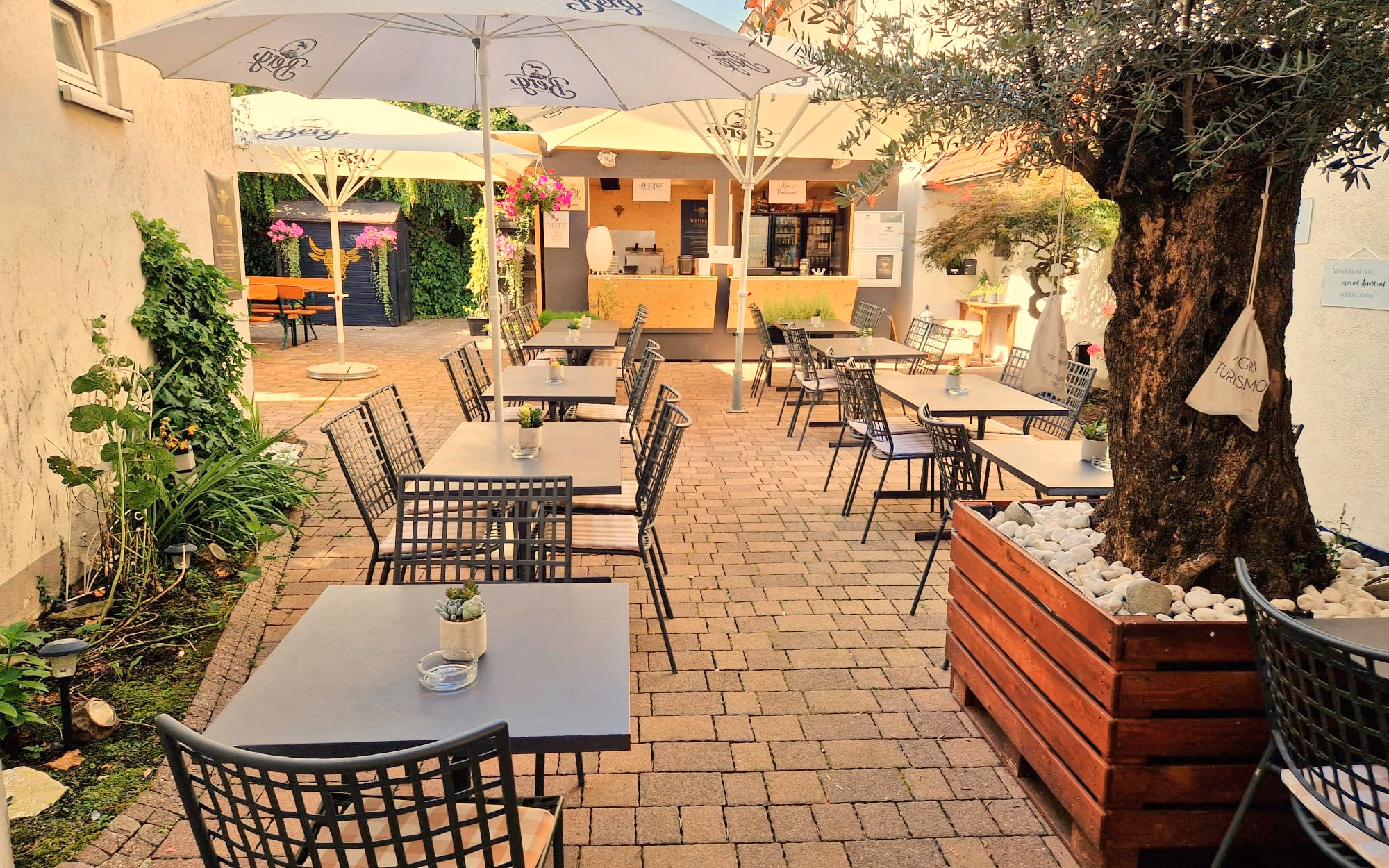 Die Sommerterrasse mit Olivenbaum, Sonnenschirmen und Tischen im Innenhof